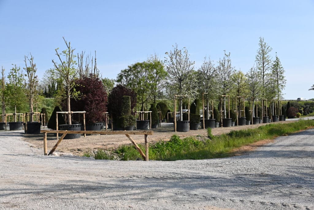 Cura delle piante secondo il metodo TECNOVIVAI, vivaio a Canneto sull'Oglio, Lombardia.