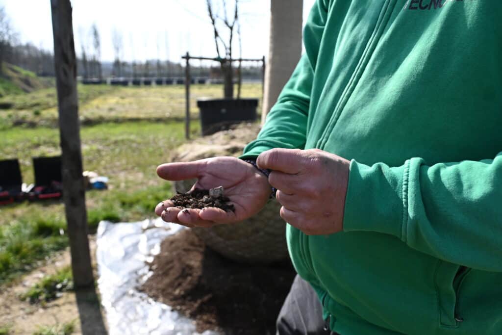 Immagine dal vivaio TECNOVIVAI a Canneto sull'Oglio, Lombardia, relativa alle attività di News dal Campo.