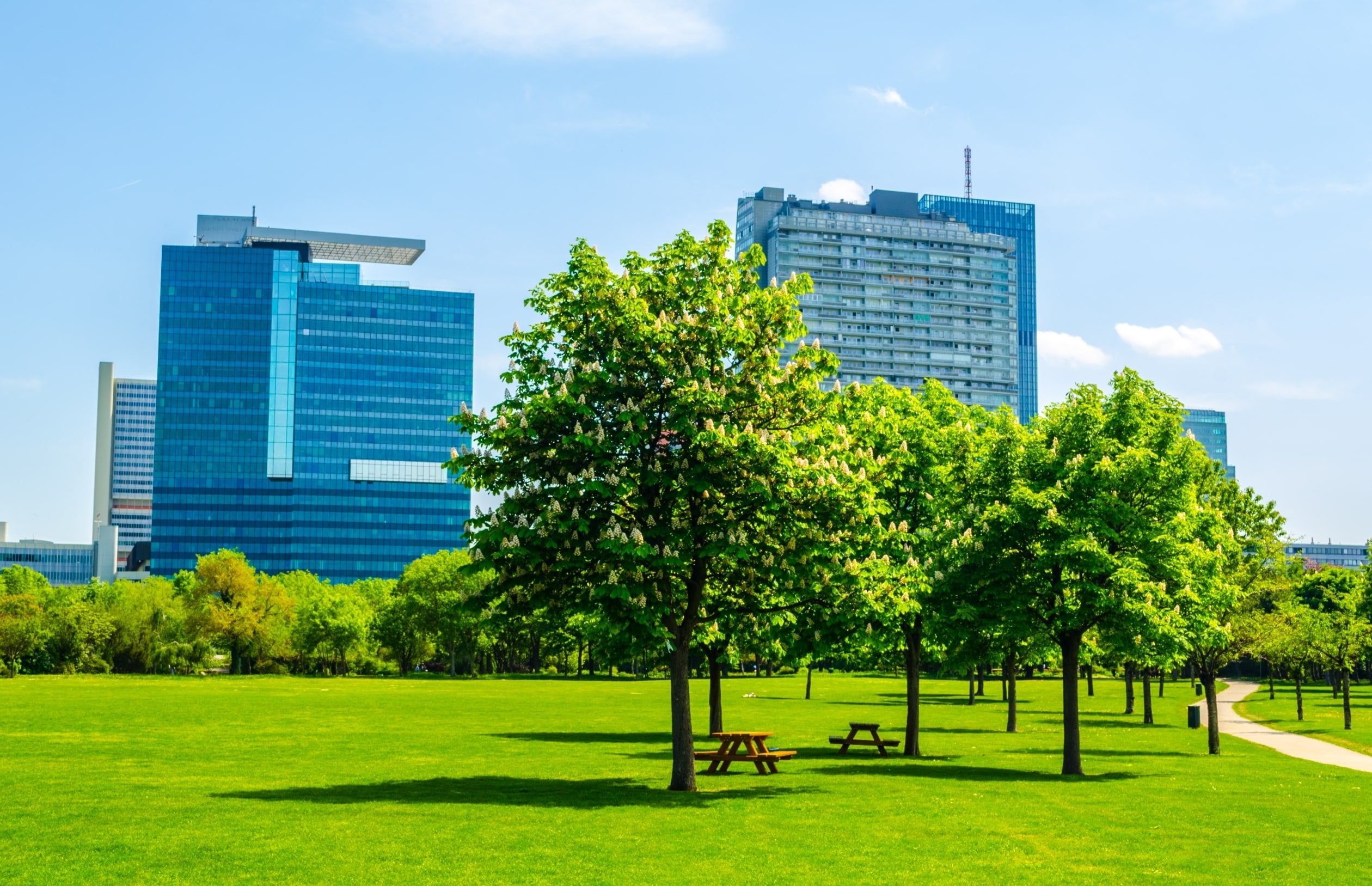 Proyectos internacionales de verde urbano realizados con árboles ornamentales para espacios urbanos suministrados por TECNOVIVAI.